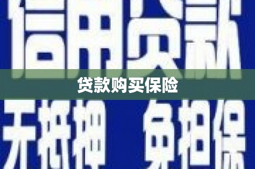 学甲贷款购买保险
