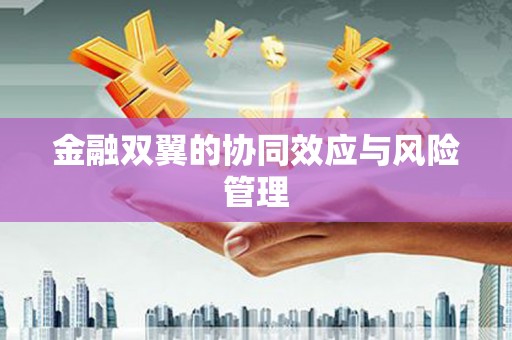 学甲金融双翼的协同效应与风险管理