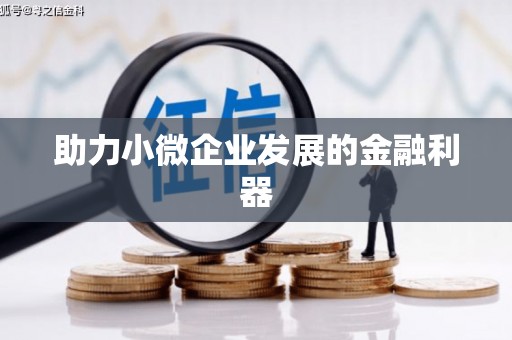 学甲助力小微企业发展的金融利器