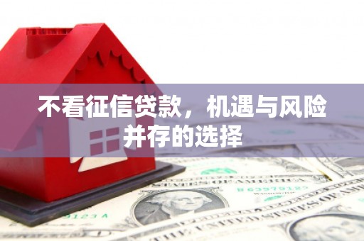 学甲不看征信贷款，机遇与风险并存的选择
