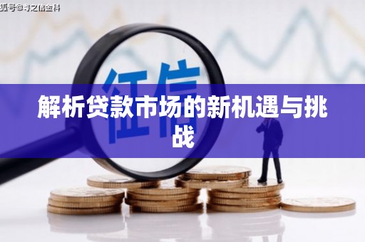学甲解析贷款市场的新机遇与挑战