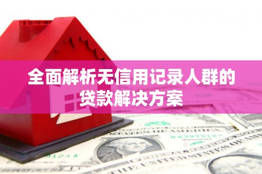 学甲全面解析无信用记录人群的贷款解决方案