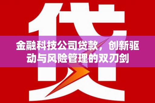 学甲金融科技公司贷款，创新驱动与风险管理的双刃剑