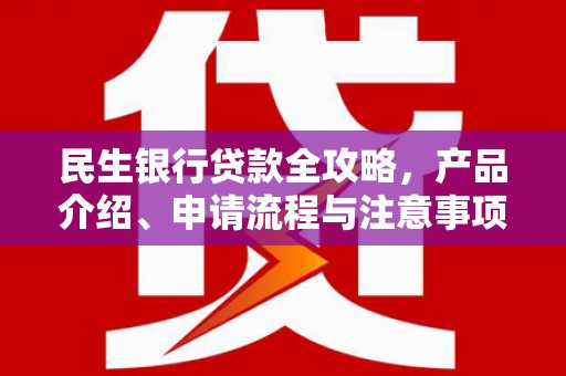 学甲民生银行贷款全攻略，产品介绍、申请流程与注意事项